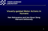 1 Visually-guided Motor Actions in Humans Ken Nakayama and Joo-Hyun Song Harvard University VISION SCIENCES LABORATORY.