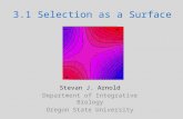 3.1 Selection as a Surface Stevan J. Arnold Department of Integrative Biology Oregon State University.