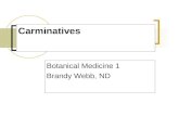 Carminatives Botanical Medicine 1 Brandy Webb, ND.