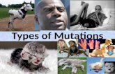 Types of Mutations. Albinism Albinism occurs when one of several genetic defects makes the body unable to produce or distribute melanin, a natural substance.