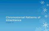 Chromosomal Patterns of Inheritance Chapter 12. Chromosomal Theory of Inheritance  Genes are located on chromosomes; behavior of chromosomes and genes.