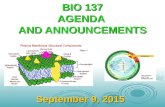 BIO 137 AGENDA AND ANNOUNCEMENTS September 9, 2015.