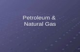 Petroleum & Natural Gas. Natural Gas Cleanest burning fossil fuel Found with oil & in coal mines Colorless, odorless, & tasteless A malodorant is added.