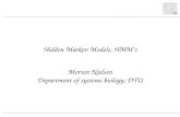 Hidden Markov Models, HMM’s Morten Nielsen Department of systems biology, DTU.