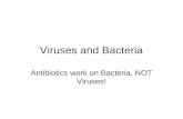 Viruses and Bacteria Antibiotics work on Bacteria, NOT Viruses!