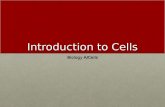 Introduction to Cells Biology A/Cells. The Discovery Cells were first discovered in 1665 when Robert Hooke observed a slice of cork under a microscope.Cells.
