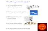 Which of the outrageous claims below is justified? (A) MO theory explains important aspects of our immune system. (B) MO theory explains why the sky is.