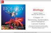 11 Chapter 19 Taxonomy, Systematics, and Phylogeny Lecture Outline Biology Sylvia S. Mader Michael Windelspecht See separate FlexArt PowerPoint slides.
