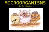 MICROORGANISMS By Ms. Kinder  sum02art/bp_1bacteria.jpg.