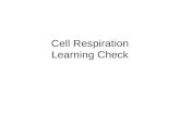 Cell Respiration Learning Check Slowly, Press Go and hold 2 seconds Press 4 and hold 2 seconds Press 1 and hold 2 seconds Press go and hold 2 seconds.