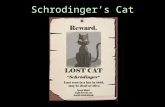 Schrodinger’s Cat. “Remember me? This was my wave equation that showed how psi (the wavefunction) evolves over time. When applied to an electron, it gives.