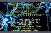 Neurobiology of Burn-Out and Depression: Same or Different? 1 Prof. Philippe Corten Université Libre de Bruxelles Clinique du stress CHU-Brugmann BCNBP.
