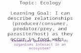 Topic: Ecology Learning Goal: I can describe relationships (producer/consumer, predator/prey, and parasite/host) as they occur in food webs. Essential.