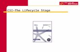 CSI—The Lifecycle Stage. CSI—Purpose CSI—Objectives.