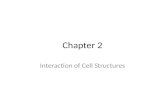 Chapter 2 Interaction of Cell Structures. Transport Mechanisms are ways in which materials enter or leave the cell. crucial in transport is the... Structure.