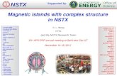 Magnetic islands with complex structure in NSTX K. L. Wong PPPL and the NSTX Research Team 53 rd APS-DPP annual meeting at Salt Lake City-UT November 14-18,