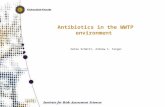 Antibiotics in the WWTP environment Heike Schmitt, Andrew C. Singer.