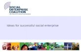 1 Ideas for successful social enterprise. Social Enterprise Coalition, 20062 A successful future for social enterprise n Issues for individual social.
