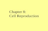 Chapter 8: Cell Reproduction. Chromosome Structure Chromatin – made of DNA and protein Seen in a non-dividing cell Chromosomes – Chromatin that has coiled.