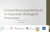 Crowd Sourcing Methods to Annotate Biological Processes Andra Waagmeester Micelio.