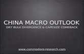 CHINA MACRO OUTLOOK DRY BULK DIVERGENCE & CAPESIZE COMEBACK .