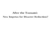 After the Tsunami: New Impetus for Disaster Reduction?