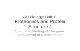 AH Biology: Unit 1 Proteomics and Protein Structure 4 Reversible Binding of Phosphate and Control of Conformation.