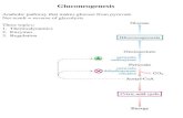 Gluconeogenesis Anabolic pathway that makes glucose from pyruvate Net result = reverse of glycolysis Three topics: 1. Thermodynamics 2. Enzymes 3. Regulation.