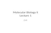 Molecular Biology II Lecture 1 OrR. Restriction Endonuclease (sticky end)