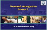 MMR Neonatal emergencies lecture 1 Dr. Miada Mahmoud Rady.