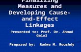Finalizing Measures and Developing Cause-and- Effect Linkages Presented to: Prof. Dr. Ahmad Galal Prepared by: Radwa M. Roushdy.