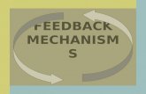 FEEDBACK MECHANISMS. M AINTAINING E QUILIBRIUM  Living versus non-living  Living organisms have the ability to sense and respond to changes in environment.