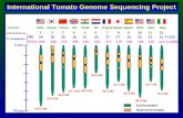 International Tomato Genome Sequencing Project 70 µm 0 µm 123 456789101112 108.0 Mb 85.6 Mb 83.6 Mb 82.1 Mb 80.0 Mb 53.8 Mb 80.3 Mb 64.7 Mb 81.8 Mb 88.5.