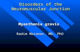 Disorders of the Neuromuscular Junction Myasthenia gravis Radim Mazanec, MD, PhD.