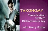 Classification System Dichotomous Key with Harry Potter.
