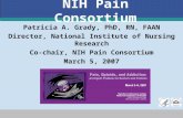 NIH Pain Consortium Patricia A. Grady, PhD, RN, FAAN Director, National Institute of Nursing Research Co-chair, NIH Pain Consortium March 5, 2007.
