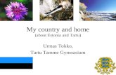My country and home (about Estonia and Tartu) Urmas Tokko, Tartu Tamme Gymnasium.