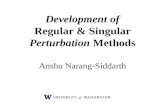 Development of Regular & Singular Perturbation Methods Anshu Narang-Siddarth.