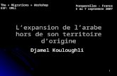 1 L’expansion de l’arabe hors de son territoire d’origine Djamel Kouloughli The « Migrations » Workshop ESF: OMLL Porquerolles – France 5 au 7 septembre.