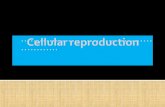 …………………………………………….... Reproduction is a characteristic of life. Reproduction of individuals depends on the reproduction at the cellular layer Carina.