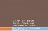 CHAPTER EIGHT TYPES, FORMS, AND FUNCTIONS OF GROUPS The Practice of Generalist Social Work (2 nd ed.)