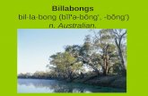 Billabongs bil·la·bong (bĭl'ə-bông', -bŏng') n. Australian.