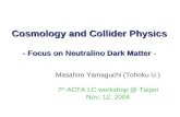 Cosmology and Collider Physics - Focus on Neutralino Dark Matter - Masahiro Yamaguchi (Tohoku U.) 7 th ACFA LC workshop @ Taipei Nov. 12, 2004.
