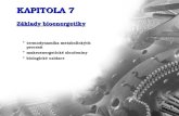 KAPITOLA 7 Základy bioenergetiky termodynamika metabolických termodynamika metabolickýchprocesů makroenergetické sloučeniny makroenergetické sloučeniny.