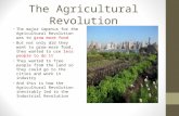 The Agricultural Revolution The major impetus for the Agricultural Revolution was to grow more food But not only did they want to grow more food, they.