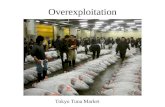 Overexploitation Tokyo Tuna Market. Pet and Garden Market.