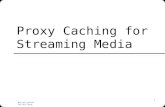 NUS.SOC.CS5248 Ooi Wei Tsang 1 Proxy Caching for Streaming Media.