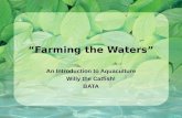 “Farming the Waters” An Introduction to Aquaculture Willy the Catfish! BATA.