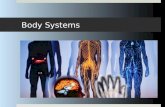 Body Systems. All living things…………….  Made of cells  Need energy  Respond to the environment  Reproduce  Grow and develop.