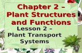 Chapter 2 – Plant Structures and Functions Lesson 2 – Plant Transport Systems.
